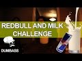 Redbull and Milk Challenge