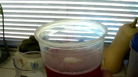 Starbucks Passion Tea Lemonade Recipe