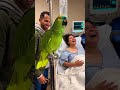 Parrot Comedy Gone Wild – Cat & Dog Can’t Stop Reacting 😂