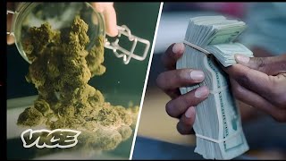 The Green Rush to Colorado's Multibillion-Dollar Weed Industry | WEEDIQUETTE
