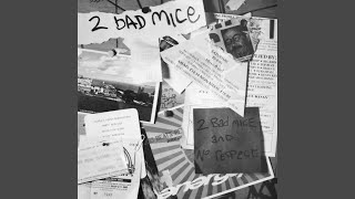 2 Bad Mice