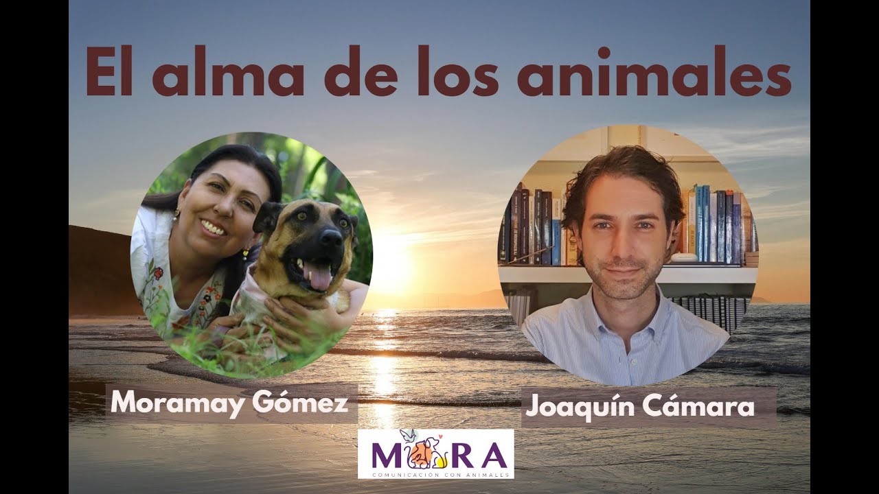 El Alma de los animales con Joaquín Cámara