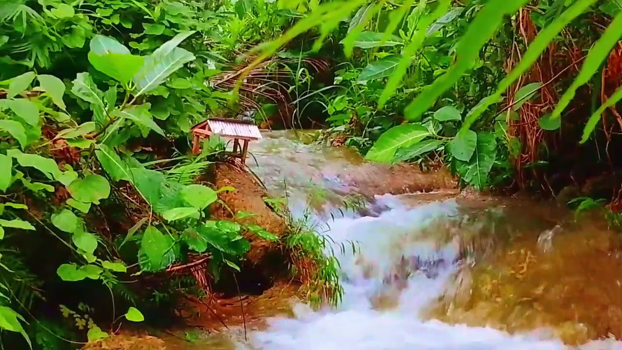 The secret stream in the heart of nature