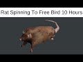 High quality spinning rat 10 hours