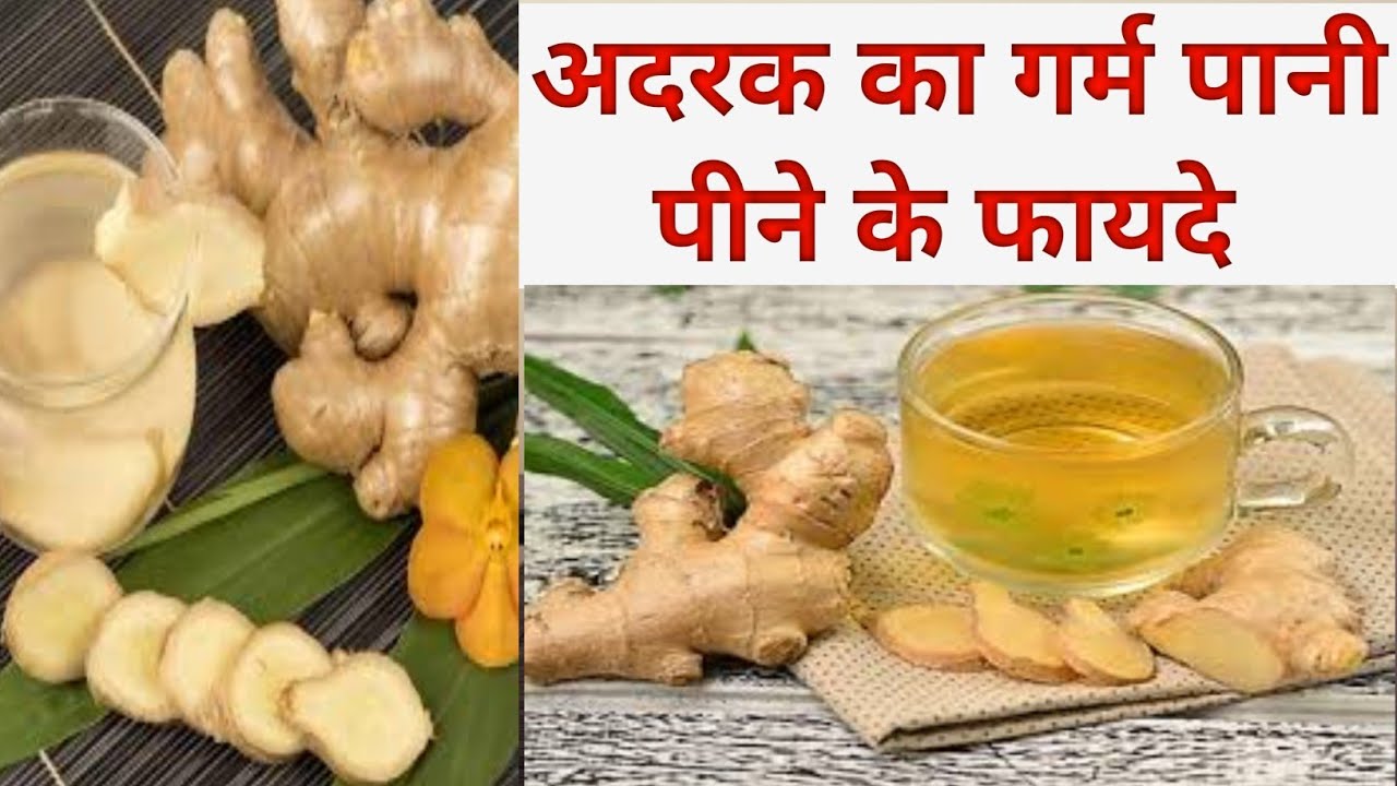 Hot ginger water benefits अदरक का गर्म पानी पीने के फायदे Health
