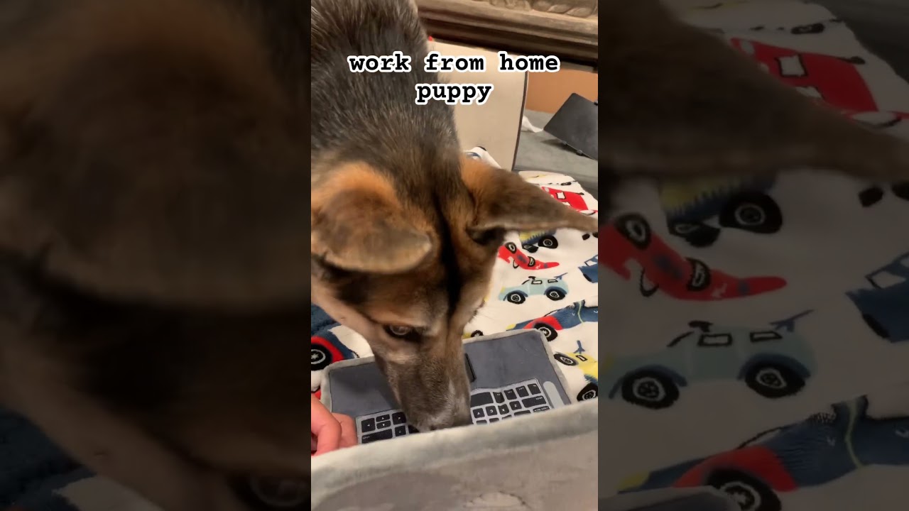 another day, another dollar 