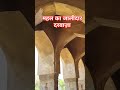महल का जालीदार दरवाज़ा | Lattice Gate Of Haveli #viralvideo