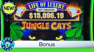 ⭐️ New - Life of Luxury Hot Diamonds Jungle Cats Slot Machine Bonus