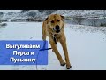 Накипело! Будем принимать меры😥