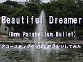 【9mm Parabellum Bullet】 Beautiful Dreamer 【アコースティックっぽくアレンジしてみた】