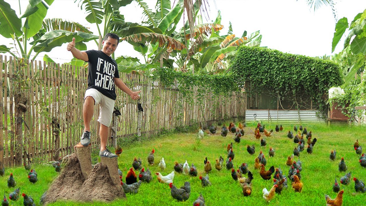 Удивительная техника в разведении кур и уток — подготовка территории для уток, обновление резерву...