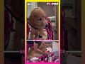 Perrita paralítica recibe silla de ruedas y conmueve a todos 😭🐶❤️