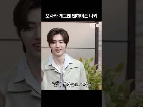 오사카 개그맨 엔하이픈 니키