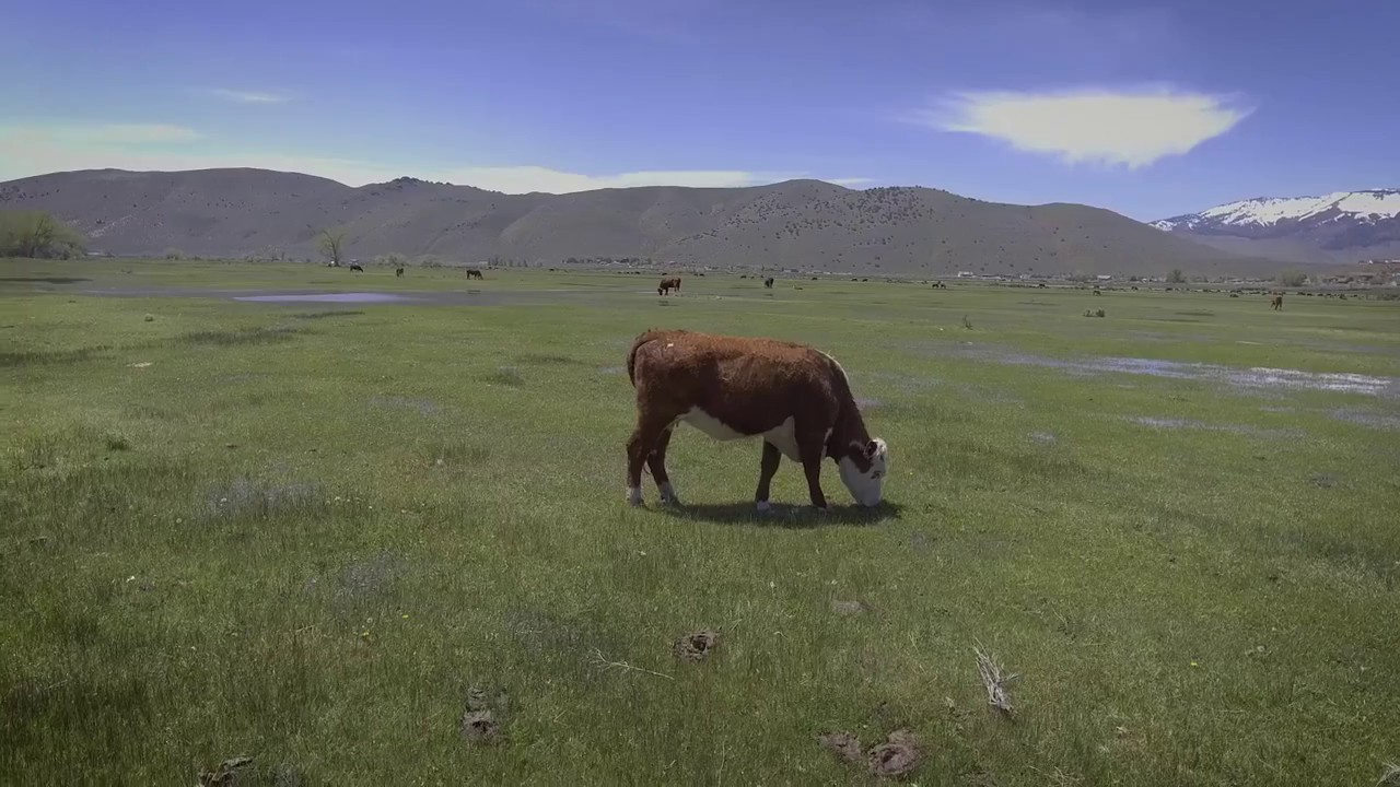 Carson River Floodplain is worth conserving – Agriculture’s a good fit