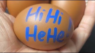 ASMR PEELING RAW EGGS LIVE #20