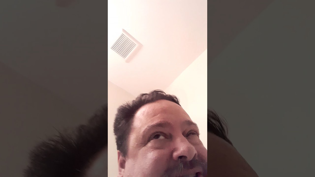 amnesia vs dementia amnesia vs dementia