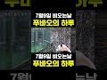 [PandaTV] 7월9일 비오는날 푸바오 #푸바오#러바오#아이바오