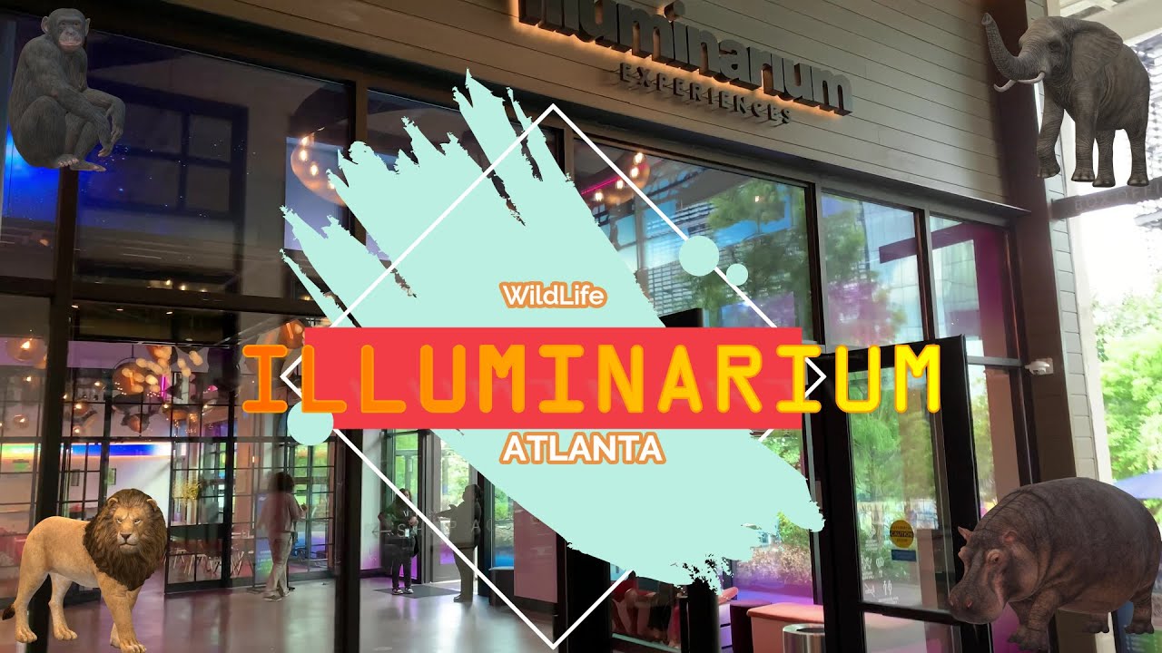 Illuminarium, Atlanta, USA YouTube