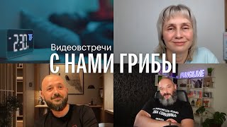 С нами грибы. Бессонница. Ольга Лисенкова, Евгений Панов, Михаил Вишневский