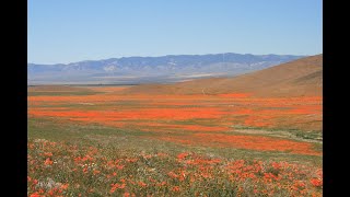 Lancaster, California