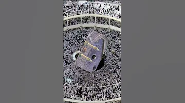 وخدوني والله معاكم يا زوار النبي 