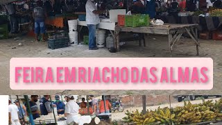 Feira Em Riacho Das Almas-Pe