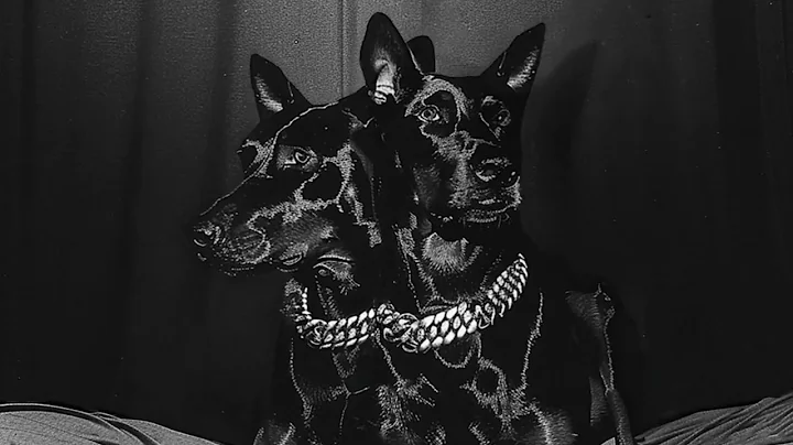 NTO 🔗 Sofiane Pamart - No One Should Walk Alone (Visualizer)