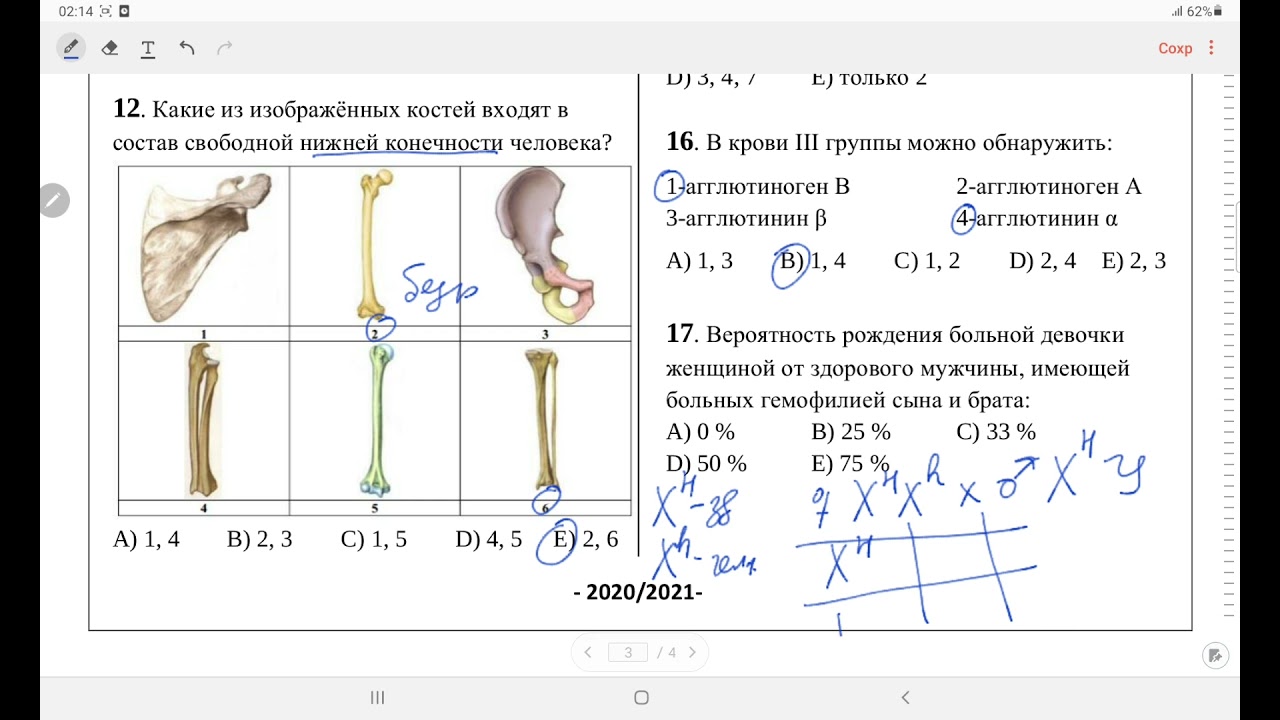 Все, что нужно знать о Республиканской олимпиаде по биологии в 11 классе
