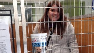 Volunteers Sleep Overnight at Shelter To Experience Life Of a Rescue Dog