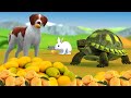 चालाक खरगोश कुत्ता और कछुआ दोस्ती काहनी clever rabbit dog &tortoise नैतिक कहानी- 3d Stories In Hindi