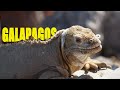 Galapagos Highlights