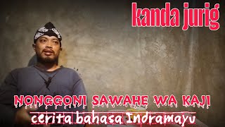 nonggoni sawahe wa kaji - kanda jurig