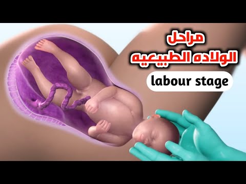 فيديو: ما هي المراحل الست للمادة؟