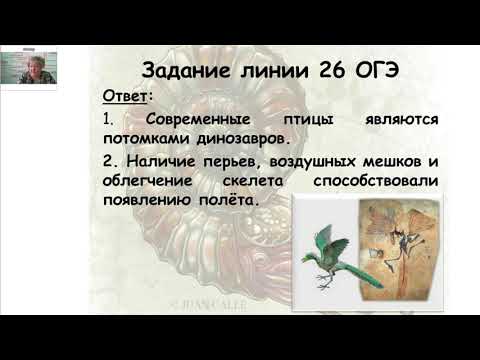 Задание 26 на ОГЭ по биологии. Эволюция органического мира