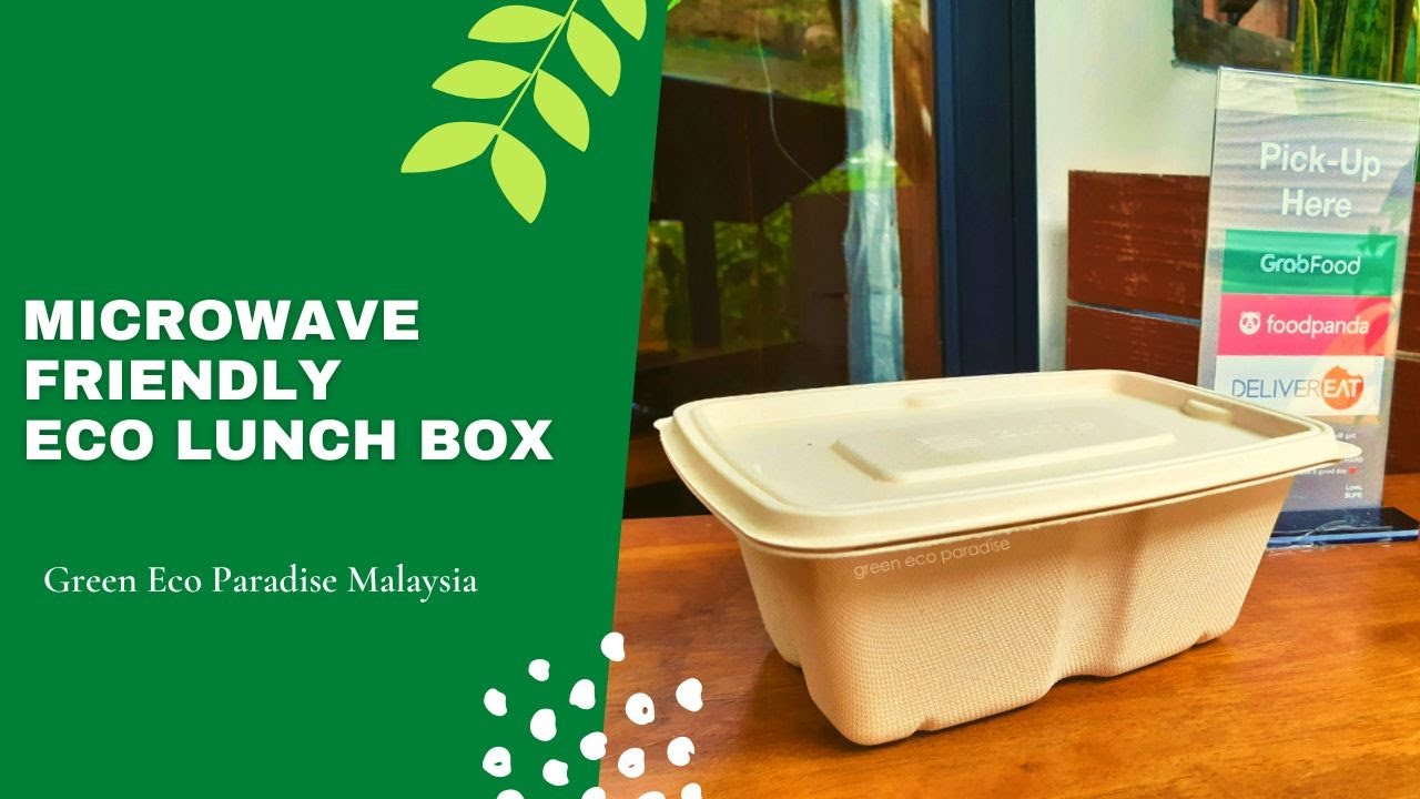 Reheating Food in Microwave Oven with Our Compostable Lunch Box YouTube
