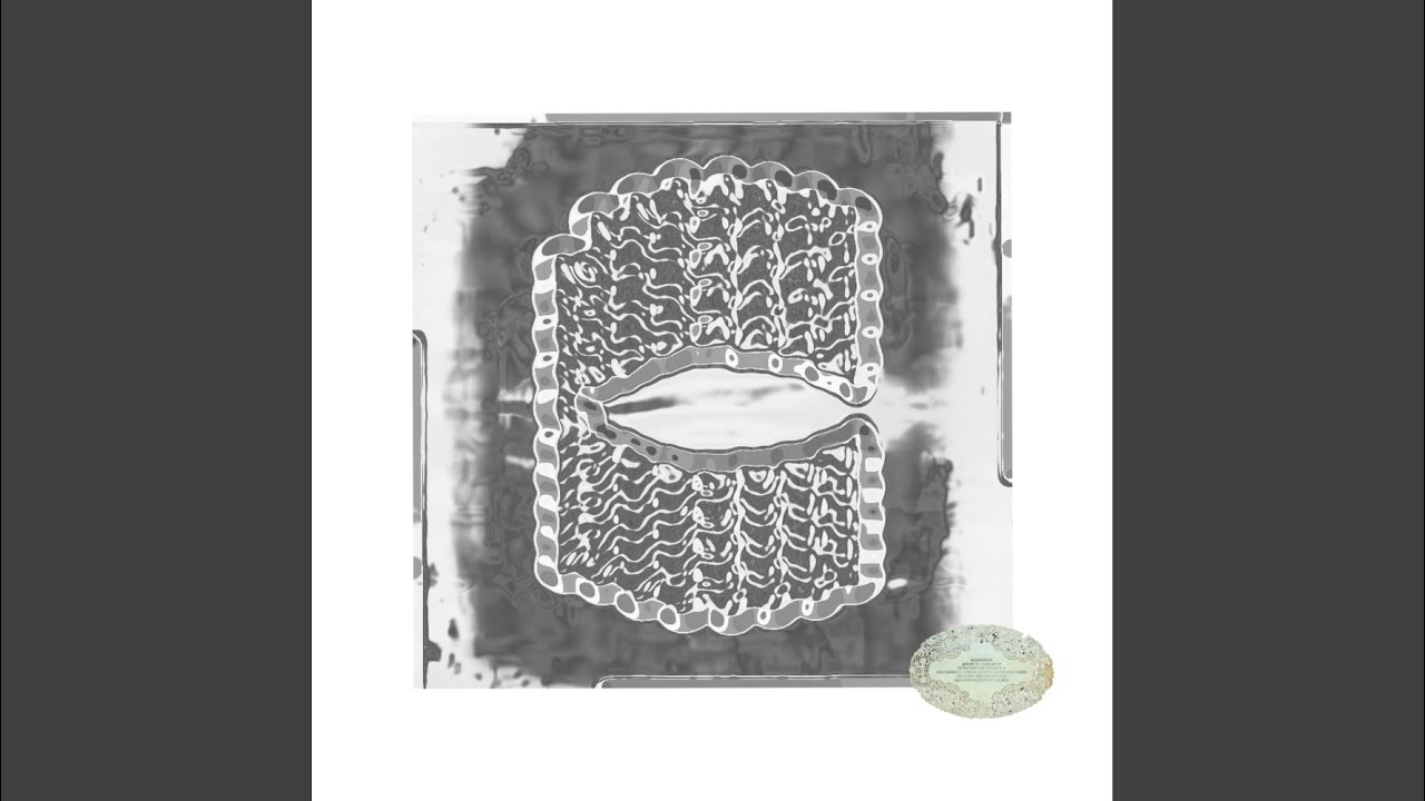 Guarda Jumpstart su YouTube Guarda Jumpstart su YouTube