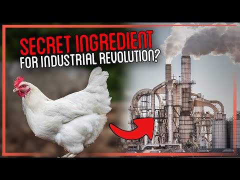 How Chicken Poop Helps Kick Start my Industrial Revolution