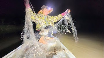 Giăng lưới trúng bầy cá tra không kịp gỡ