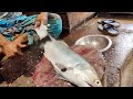 Amazing skills and experience to cut a Big Fish Cutting|| Big Fish Cutting|| amazing skills||