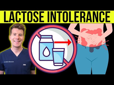 Doctor explains LACTOSE INTOLERANCE