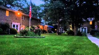 Lightning bugs time lapse