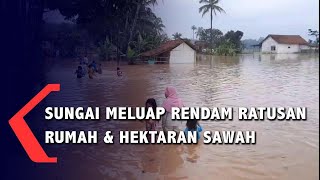 Sungai Meluap Rendam Ratusan Rumah & Hektaran Sawah