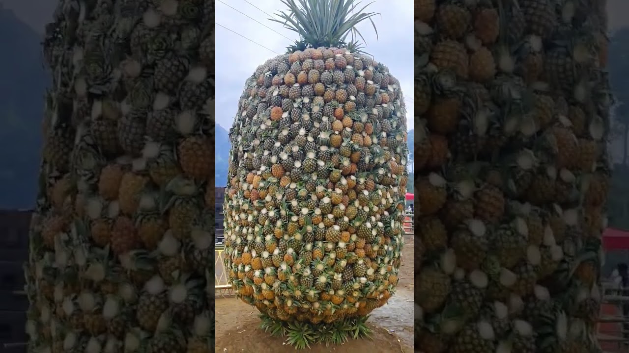 Big pineapple..... 