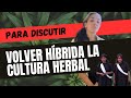 Volver híbrida la cultura herbal ¿ A quién le sirve?
