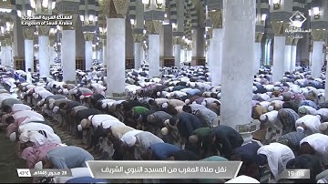 مغرب الثلاثاء|للشيخ #صلاح_البدير 28-1-1445هـ | خواتيم سورة النازعات