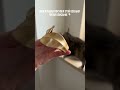 Это лучшая покупка осени!