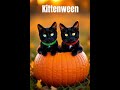 Perseus & Loki | Two Black Kittens Celebrate Kittenween in a Pumpkin 🐾✨ #halloween #cat #spooky