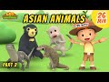 Asian Animals (Part 2/7) - Animals Stories for Kids | Educational | Leo the Wildlife Ranger