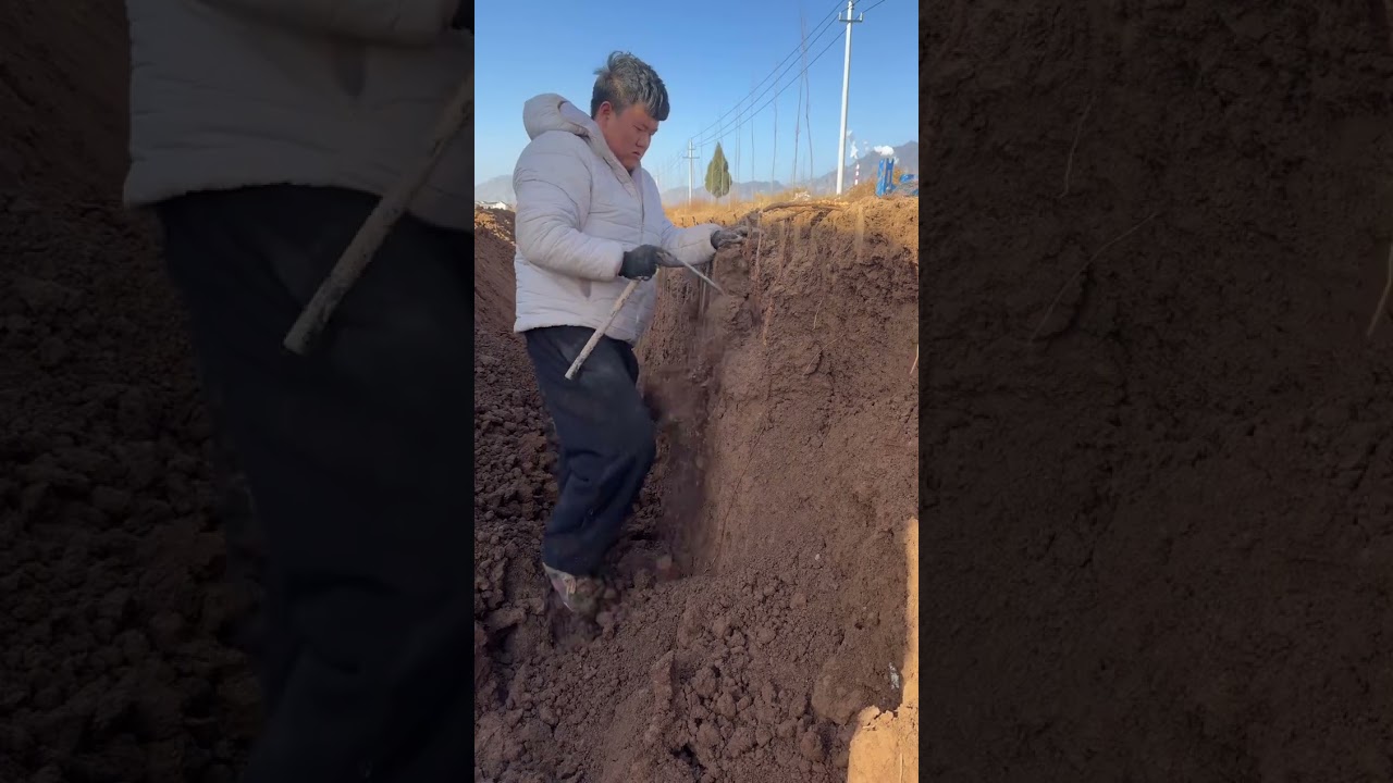 Because students are still foolish and naive