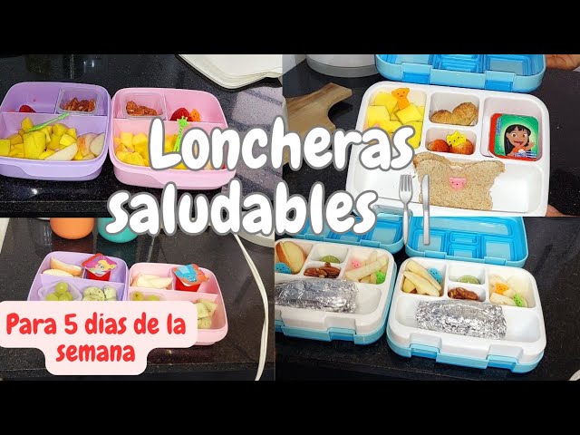 lonchera con varios ingredientes. alimentos saludables para niños